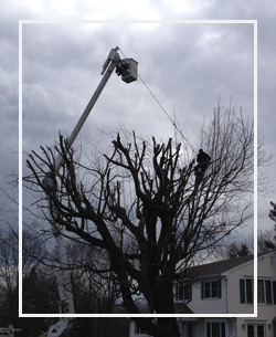 Crane Services in Norwalk