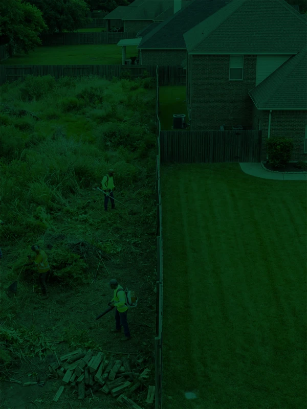 Stump Grinding Services