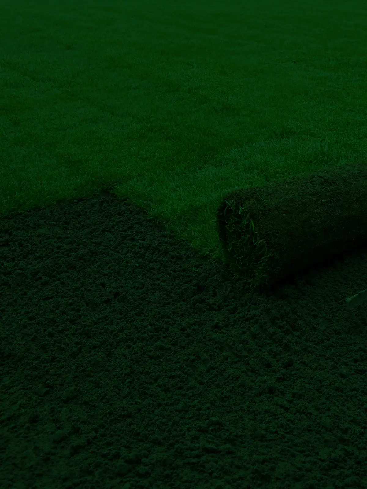 Stump Grinding Services