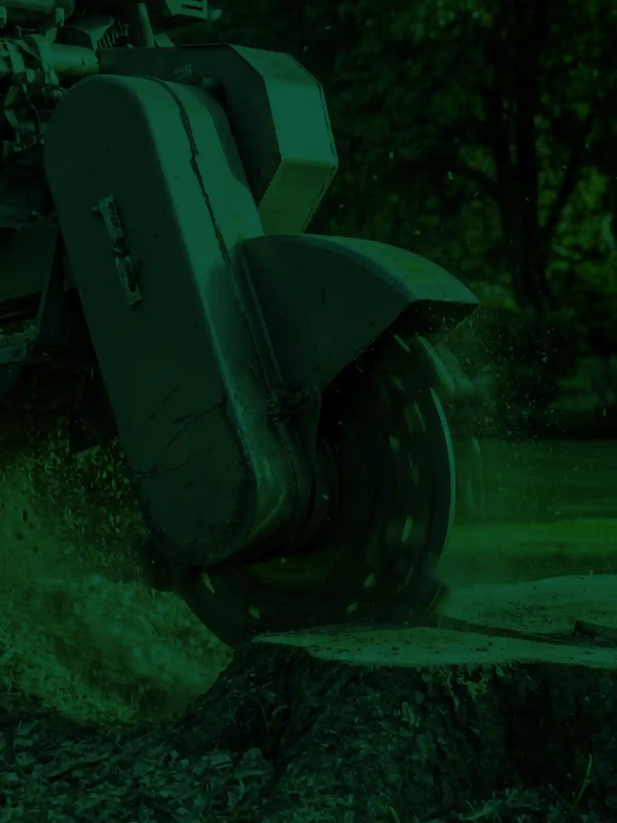 Stump Grinding Services