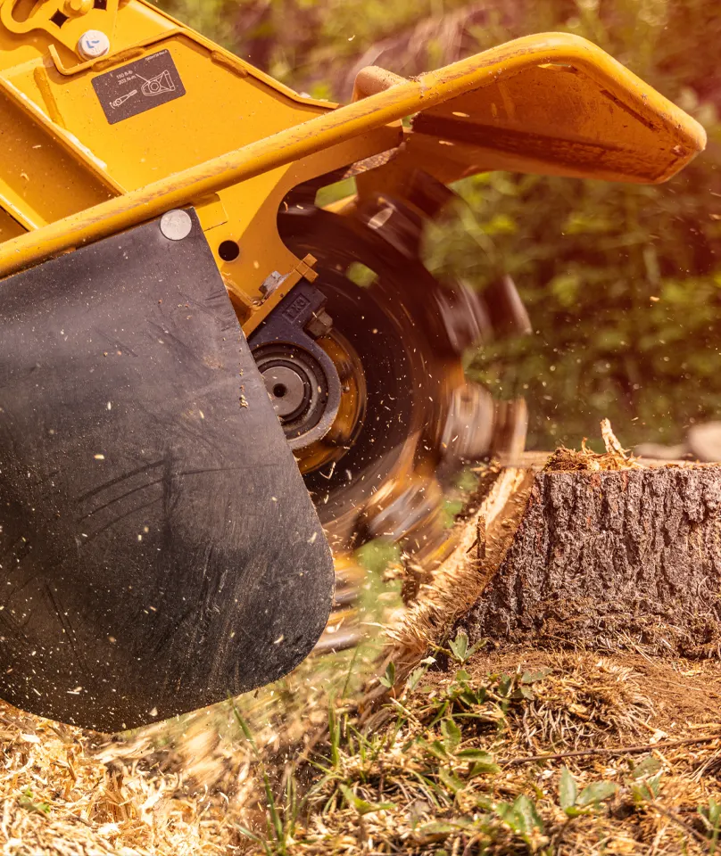 Professional stump grinding at a Fairfield County property