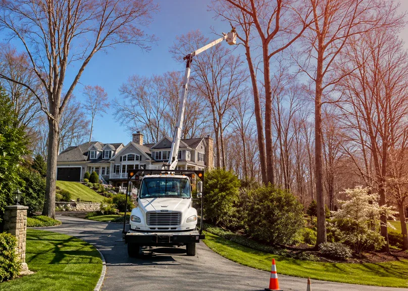 Aerial bucket truck providing residential tree service in Fairfield County