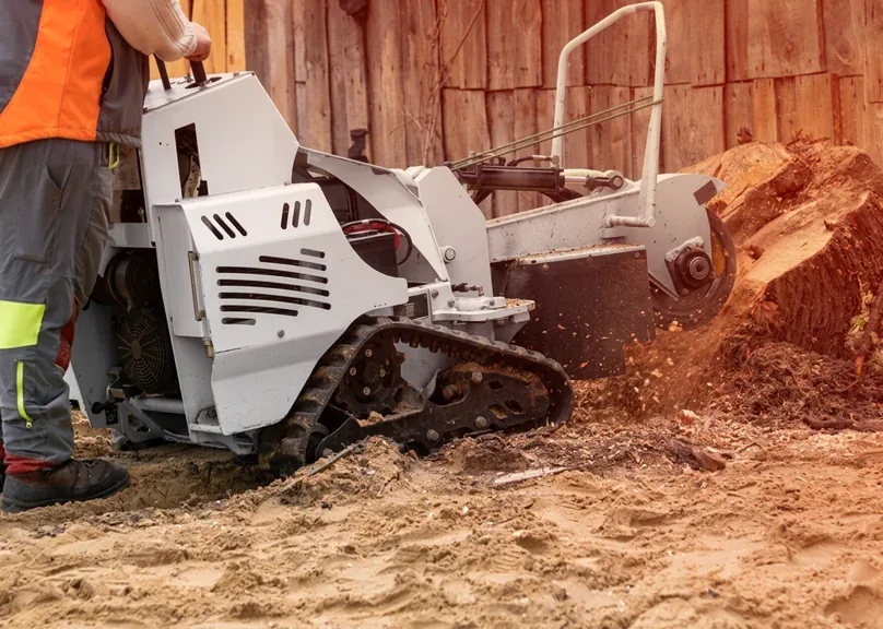 Compact stump grinding equipment removing a large residential stump