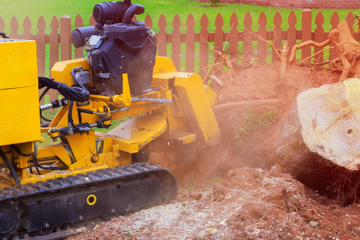 Stump Grinding Services